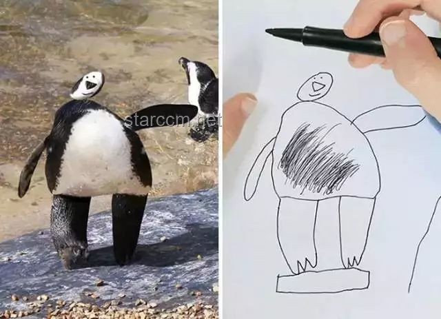 🎨你可能不认识我，但你一定看过我的“脑洞”画作🖌️